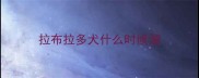拉布拉多犬什么时候溜