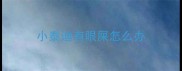 小泰迪有眼屎怎么办