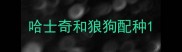 哈士奇和狼狗配种