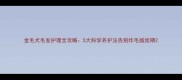 金毛犬毛发护理全攻略5大科学养护法告别炸毛尴尬期