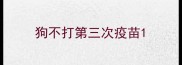 狗不打第三次疫苗