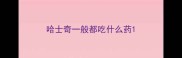 哈士奇一般都吃什么药