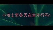 小哈士奇冬天在室外行吗