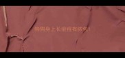 狗狗身上长痘痘有脓包