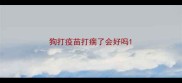 狗打疫苗打瘸了会好吗