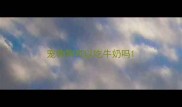 宠物狗可以吃牛奶吗