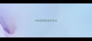 中级宠物美容师考试