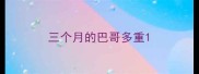 三个月的巴哥多重