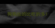 狗狗拉的比吃的多