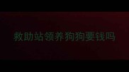 救助站领养狗狗要钱吗