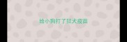 给小狗打了狂犬疫苗