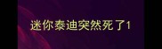 迷你泰迪突然死了