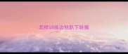 怎样训练边牧趴下转圈