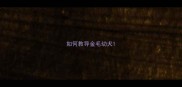 如何教导金毛幼犬