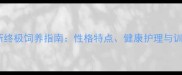 边牧雷克斯终极饲养指南性格特点健康护理与训练要点全