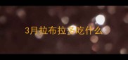 3月拉布拉多吃什么