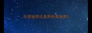 灰泰迪贵还是黑色泰迪贵