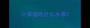 小泰迪吃什么水果