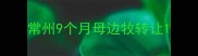常州9个月母边牧转让