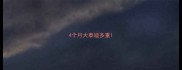 4个月大泰迪多重