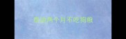 泰迪两个月不吃狗粮