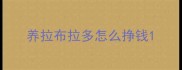 养拉布拉多怎么挣钱