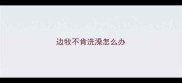 边牧不肯洗澡怎么办