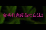 金毛打完疫苗吐白沫