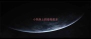 小狗身上跳蚤哪最多