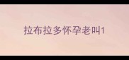 拉布拉多怀孕老叫