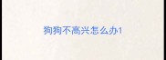 狗狗不高兴怎么办