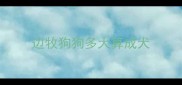 边牧狗狗多大算成犬