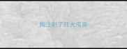 狗注射了狂犬疫苗