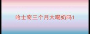 哈士奇三个月大喝奶吗