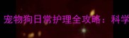 新手必看宠物狗日常护理全攻略科学养宠指南
