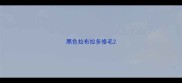 黑色拉布拉多修毛