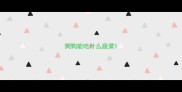 狗狗能吃什么蔬菜
