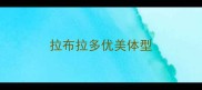 拉布拉多优美体型