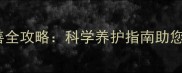 边境牧羊犬毛色改善全攻略科学养护指南助您拥有健康亮丽被毛