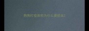 狗狗打疫苗前为什么要验血