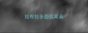 拉布拉多圆弧耳朵
