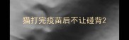 猫打完疫苗后不让碰背