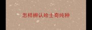 怎样辨认哈士奇纯种