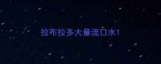 拉布拉多大量流口水
