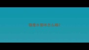 猫腹水猫咪怎么睡
