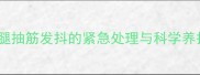 狗狗后腿抽筋发抖的紧急处理与科学养护指南