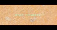 新手必存2月大幼猫发育全