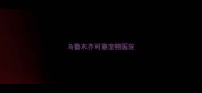 乌鲁木齐可靠宠物医院