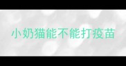 小奶猫能不能打疫苗