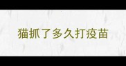 猫抓了多久打疫苗